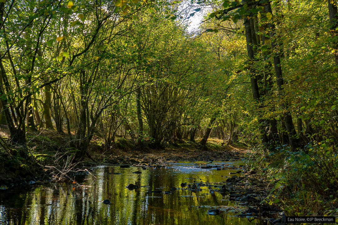 L'eau-Noir, JP Beeckman