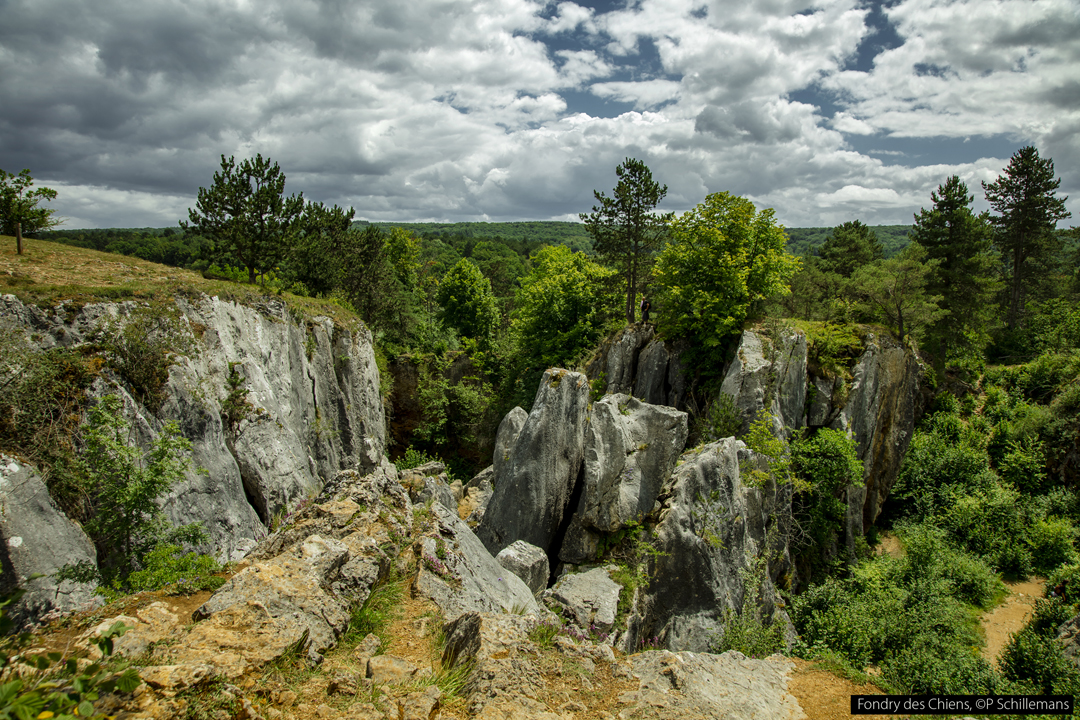 Fondry des Chiens à Nismes, © P Schillemans.
